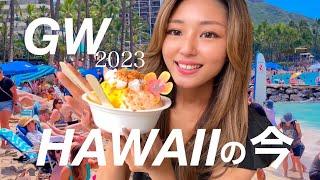 Hawaii GW 2023 vlog / new supermarket, shave ice store in town!