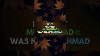 Why Prophet Muhammad ﷺ Is Also Named Ahmad