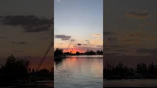 Лето ️