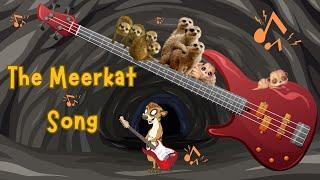 The Meerkat Song | Animal Songs for Kids | Meerkats Facts | Silly School Songs