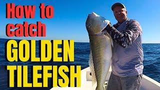 How to catch GOLDEN TILEFISH