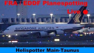 FRA LIVE  Planespotting | De-Icing Action?