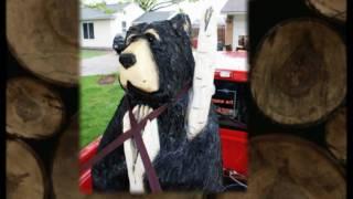 Mikes Chain Saw Art - time lapse bear carving