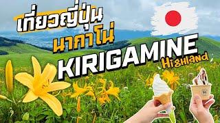 เที่ยวญี่ปุ่น จุด Unseenในจังหวัด "นากาโน่" "Kirigamine Highland" | #霧ヶ峰 #車山高原