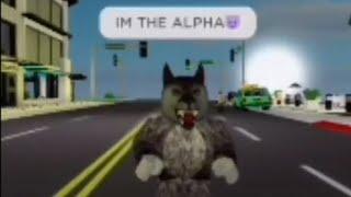 10 minutes and 48 seconds of low quality tiktok roblox memes that is alpha