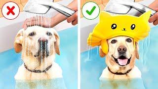 Oh No! MESSY PET? SMART GADGETS THAT EVERY PET OWNER SHOULD TRY