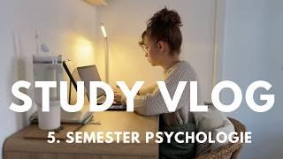 Auswendiglernen im Psychologiestudium | KLAUSURENPHASE und Alltag | STUDY VLOG | naestaey