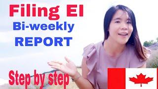 HOW TO FILE CERB/ EI BI-WEEKLY REPORT|STEP BY STEP PROCESS EI/CERB REPORT ONLINE