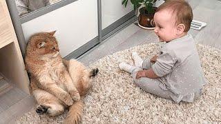 When your cat become a special friend ️Cute Cats and Human