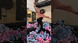 PLUSHiE ATTACK!!  Hundreds of A for Adley pet MONKEY BUDDiES dog pile on Shonduras!! #shorts