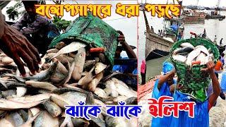 বঙ্গোপসাগরে ইলিশ ধরা পড়ছে ঝাঁকে ঝাঁকে | Hilsa fish in Bangladesh |Fishery Ghat, Chattagram