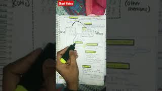 Upsc Preparation, Upsc Aspirants life, Ultimate Aim UPSC, Desire upsc, #shorts #short