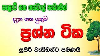 පැළෑටි ගස් වැල් පාඩමෙන් ඔබ දැන සිටි යුතුම ප්‍රශ්න ටික - shishyathwaya hari lesi 2021