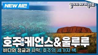 [NEW걸어서세계속으로] 광활한 대자연을 품은 나라 '호주 케언스&울루루' 여행 Trip to Australia (KBS_20240525)