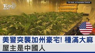 美警突襲加州豪宅! 種滿大麻 屋主是中國人｜TVBS新聞