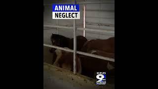 The Week in Review - KEZI 9 News This Morning - June 7, 2024