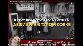 Мудрый Ёж разбирает Ежика Лисичкина и был ли дефицит в СССР?