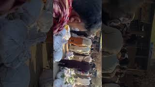 Sargodha kino market rating  #shortvideo
