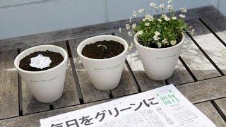 Green Newspaper || Newspaper In Japan || Eco-friendly Newspaper ||