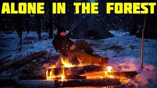 Alone In The Forest - Steak - Nachos - Hot Tent - Craft Beer - Winter Camping