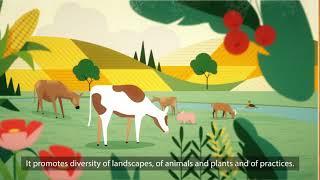 How agroecology helps to build climate change-resilient livelihoods