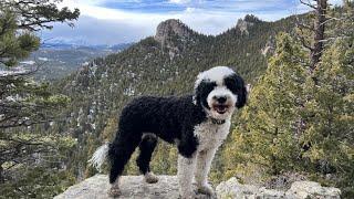 Black Bear Trail to Ralston Roost - Golden Gate Canyon State Park - Golden, CO - 4K