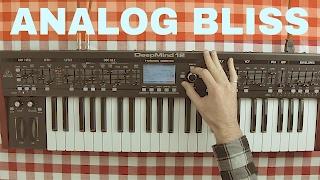 BEHRINGER DEEPMIND 12 RELAXING MUSIC SYNTH DEMO ~ Classic Vintage Analog Synth Vibes