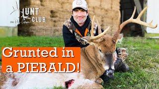 PIEBALD on the EASTERN SHORE |  MARYLAND DEER in RUT