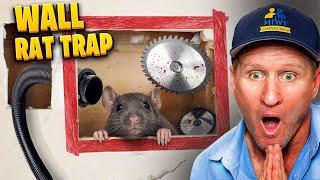 BRUTAL wall rat trap box… FAST rat removal !!