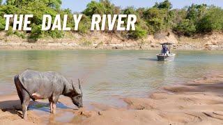 Is this the WILDEST River in the Territory?? Crocodiles,  Buffalo & Barramundi in the Daly River