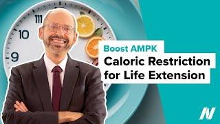 Naturally Boosting AMPK with Caloric Restriction for Life Extension