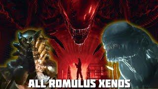 Every New Xenomorph From Alien Romulus Explained (Spoilers)