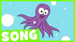 Octopus Song | Simple Song for Kids