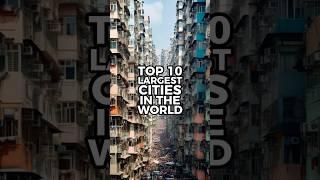 Top 10 Largest Cities in the World