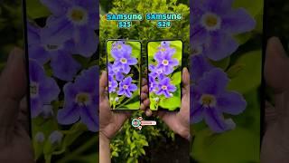 Samsung S25 Vs Samsung S24 Camera Comparison #shorts