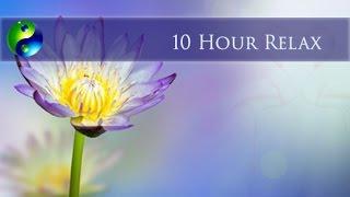 10 hour Reiki Music: Meditation Music; New Age Music Playlist; Spa Music; Relaxation Music  172