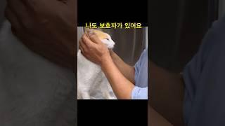 꼭 데리러 올거야…