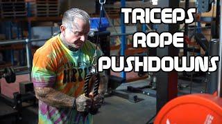 HOW TO: Triceps Pushdowns with LEE PRIEST