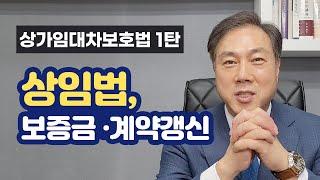 상가임대차보호법 적용요건, 환산보증금, 계약갱신에 대한 모든 것! (상가임대차보호법 1탄)