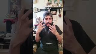 Calm (Chill and Peace) ASL#asl #deaf #signlanguage #shorts #fyp