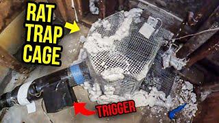 How to GET RID of Rats Under Your Floor FAST...rat prison..