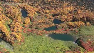 Autumn foliage peaks at Taisetsu Kogen Onsen, Sounkyo 20211008