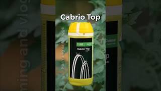 Cabrio TopBasf|Metiram55% Pyraclostrobin5%WG|fungicide|#basf #tomato #farming #agriculture #shorts