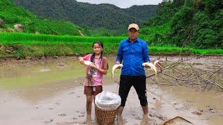 Harvesting fish to sell at market, repairing fences of chicken and duck coops | Family Farm