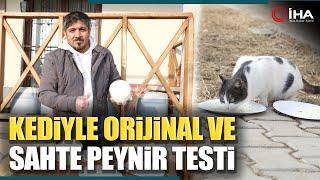 Orijinal Erzincan Tulum Peynirine Kediden Tam Not Sahte Ürüne Dokunmadı