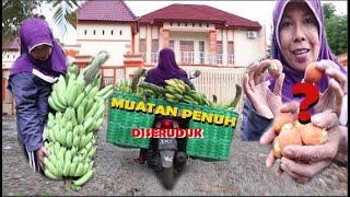 MUATAN PENUH PISANG-DISERUDUK DARI BELAKANG [FULL LOAD OF BANANAS - MBOK JAR IS BUTTING FROM BEHIND]