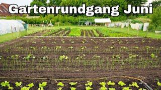 Gartenrundgang & Gartenarbeiten im Juni