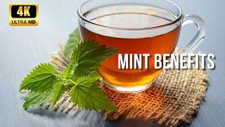 Health-Boosting Potential of Mint in 4k. #mint #thehowtoacademy