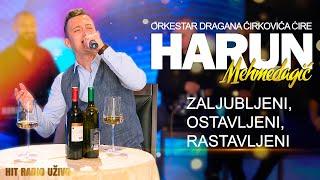 Harun Mehmedagic - Zaljubljeni, ostavljeni, rastavljeni (Orkestar Dragana Cirkovica Cire)