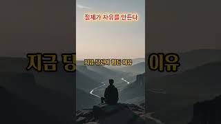 절제가 답이었다  | 세네카, 플라톤, 쇼펜하우어의 조언 #절제의미학 #절제철학 #삶의지혜